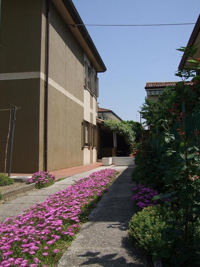 Venice Lagoon House B&B Tessera Bagian luar foto